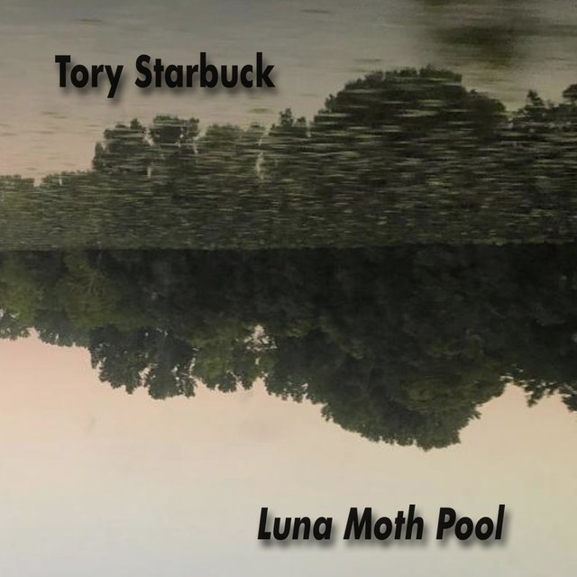 Luna Moth Pool