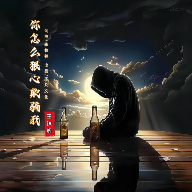 你怎么狠心欺骗我 (男声版)