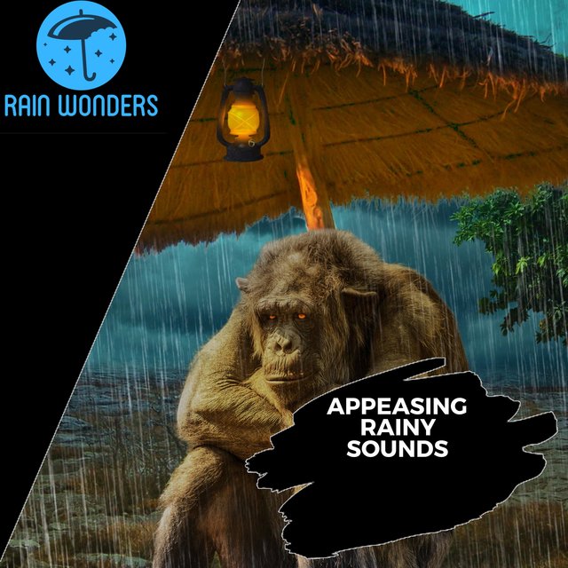 Appeasing Rainy Sounds