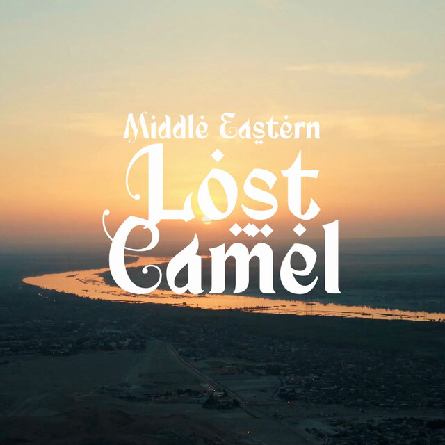 Lost Camel