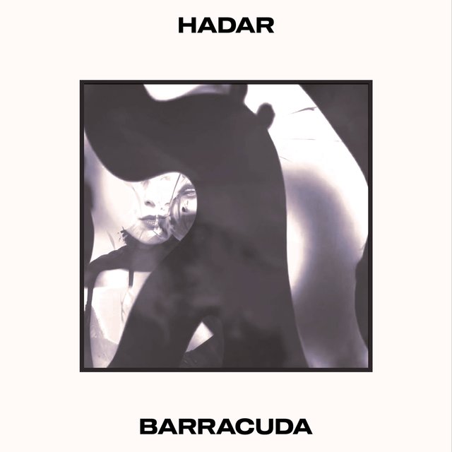 Barracuda