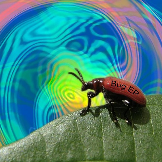 Bug