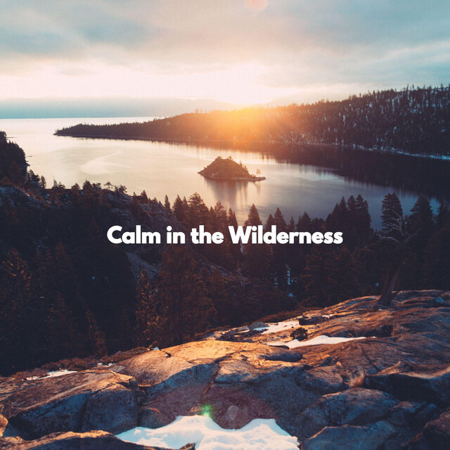 Calm in the Wilderness