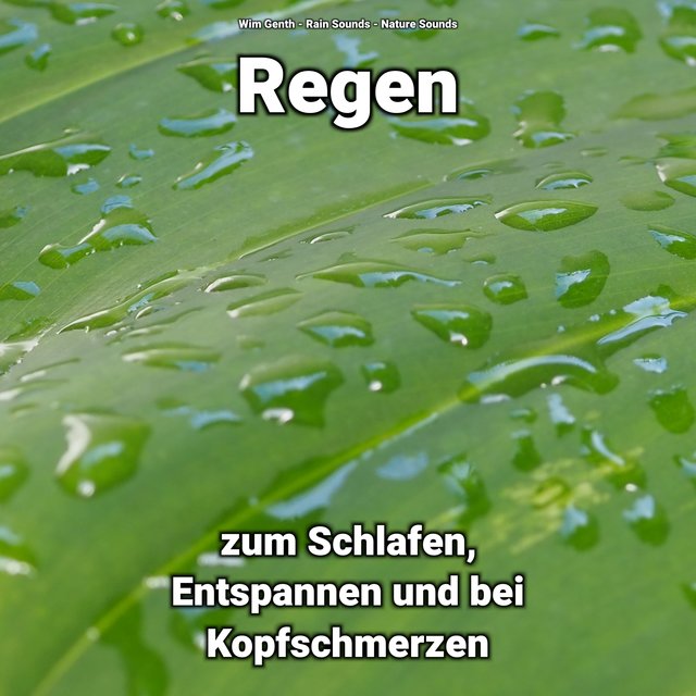 Regen zum Schlafen, Entspannen und bei Kopfschmerzen