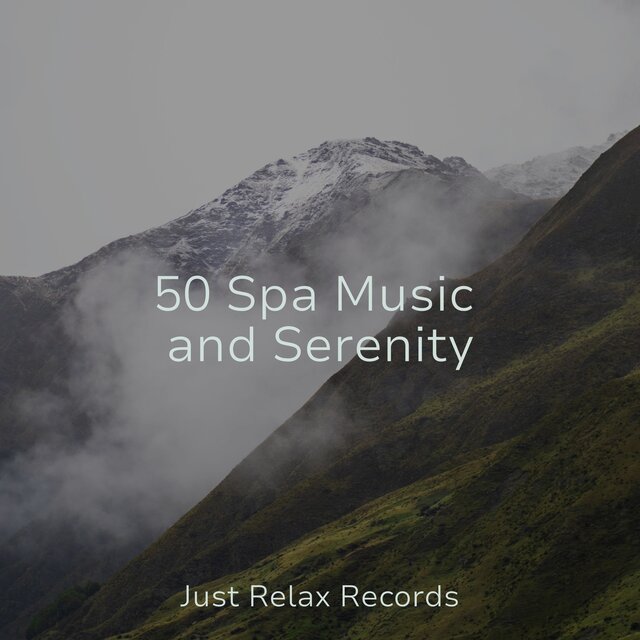 50 Spa Music and Serenity