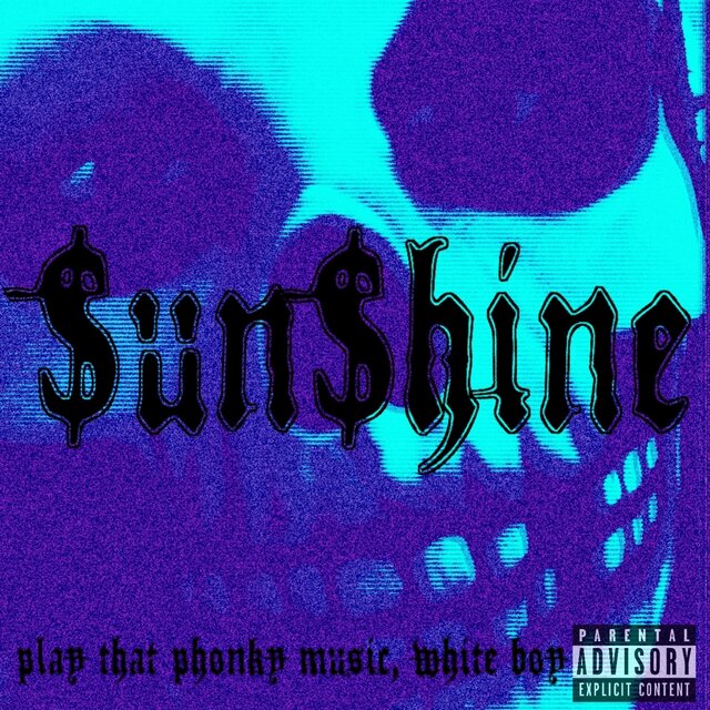 PLAY THAT PHONKY MUSIC, WHITE BOY