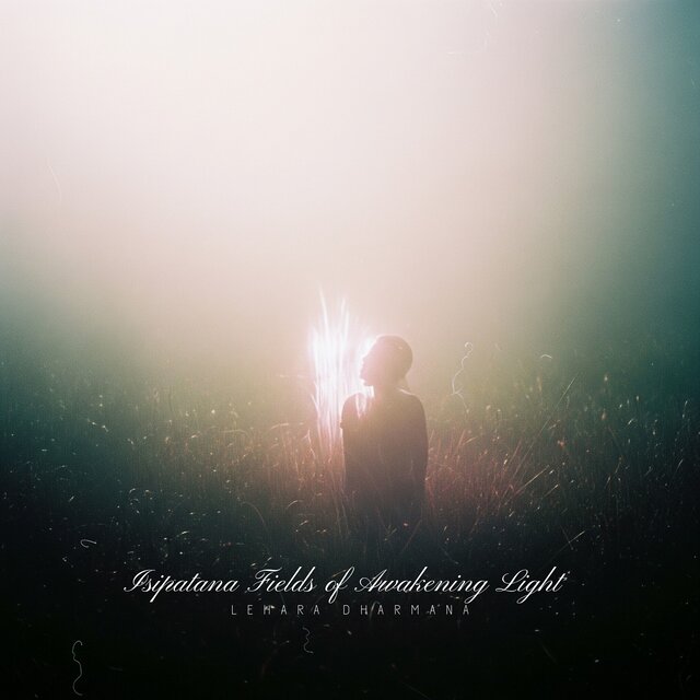 Isipatana Fields of Awakening Light