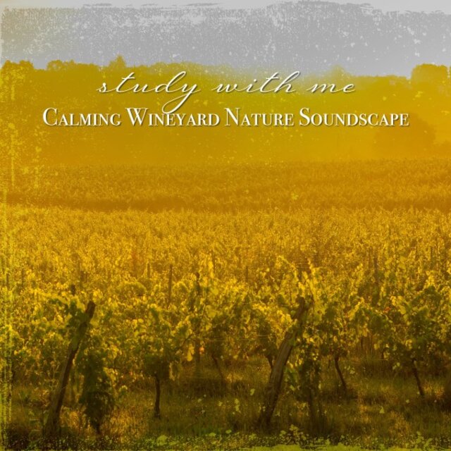 Study with Me: Calming Wineyard Nature Soundscape