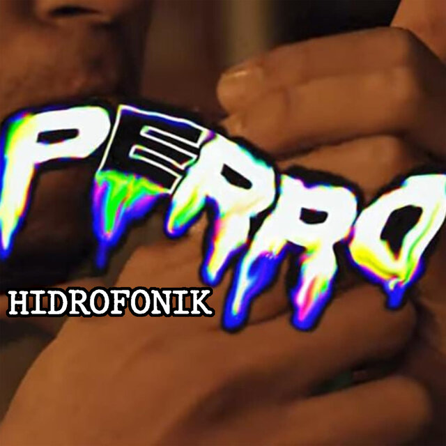 Perro