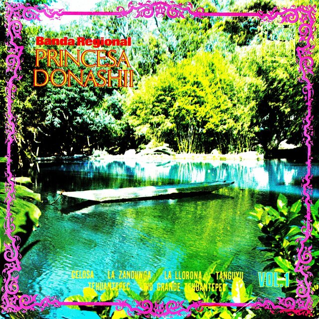 Banda regional princesa Donashii Vol. 1