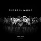 The Real World (feat. Owen)