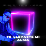 Te Llevaste Mi Alma