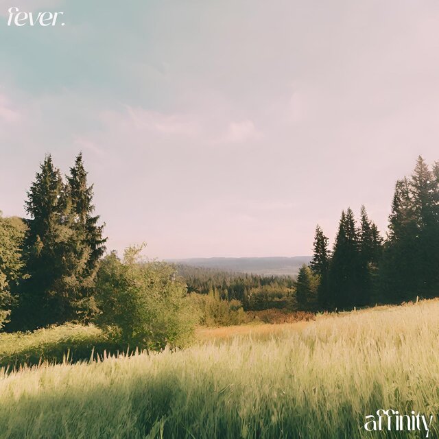 affinity (to you)