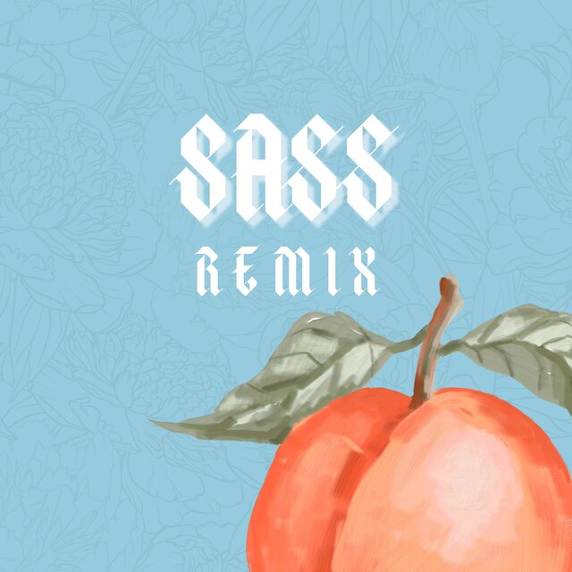 Sa$$ (Remix)