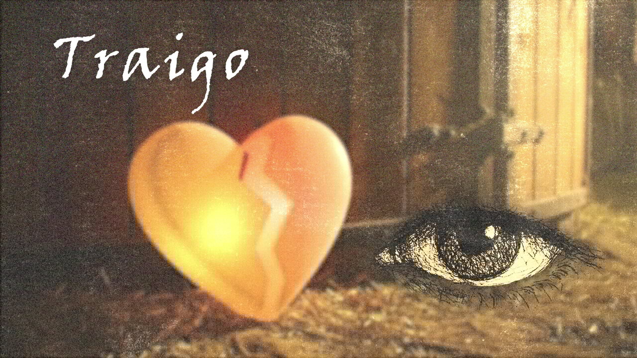 TrAigO