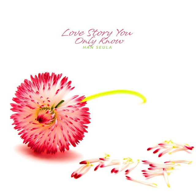 Love Story You Only Know