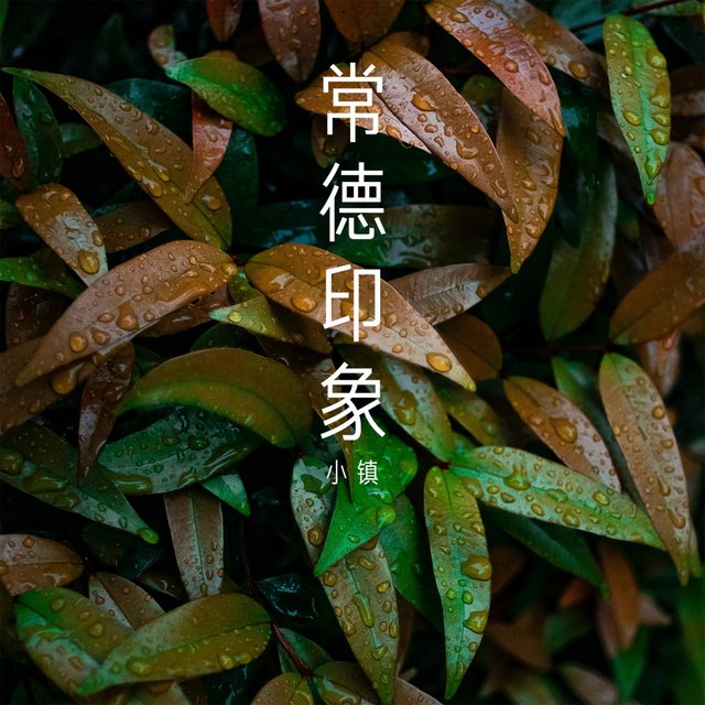 常德印象