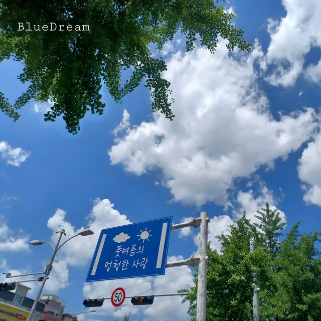 풋여름의 멍청한 사랑