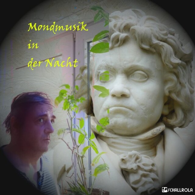 Mondmusik in der Nacht