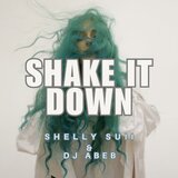 SHAKE IT DOWN