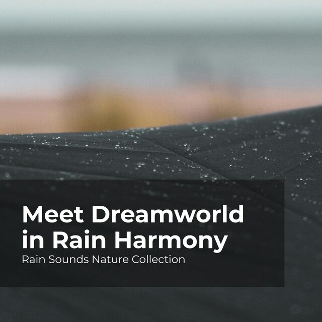 Meet Dreamworld in Rain Harmony