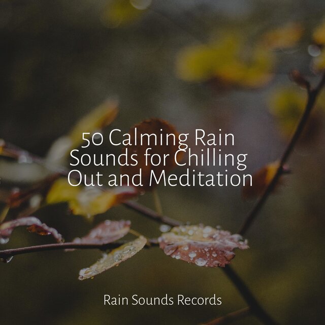 50 Calming Rain Sounds for Chilling Out and Meditation