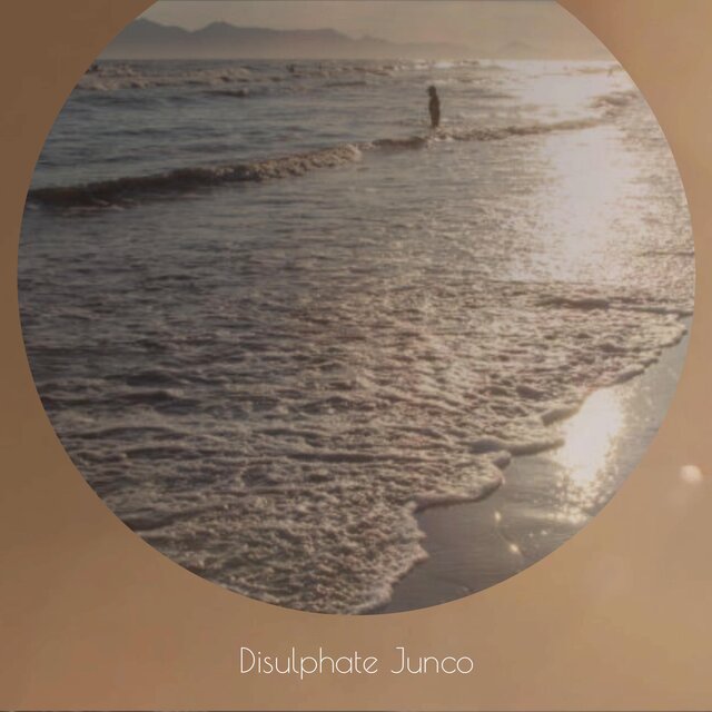 Disulphate Junco