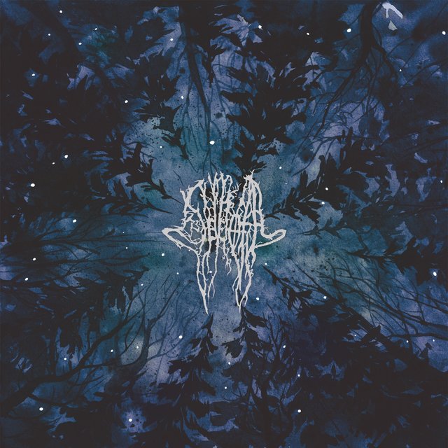 Cover art for album Vsesvit by Severoth
