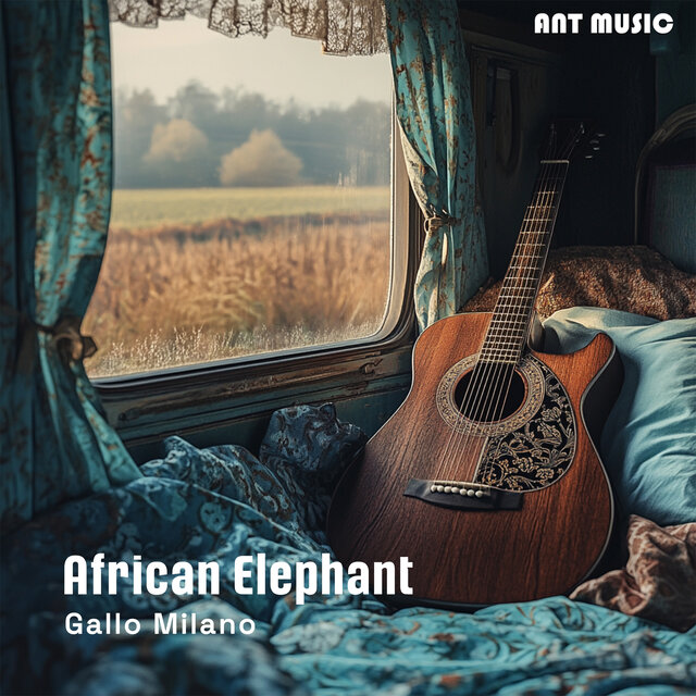 African Elephant
