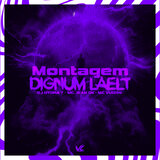 Montagem Dignum Laelt