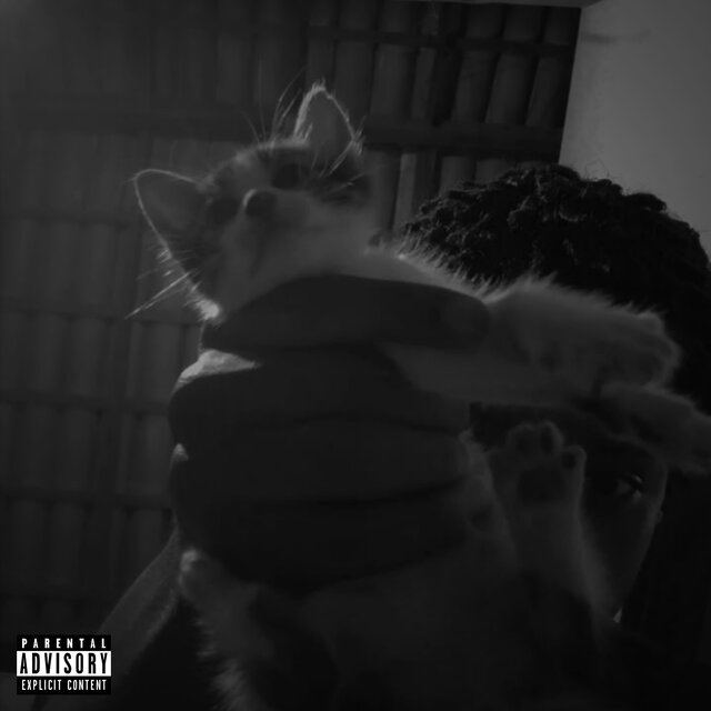 #sh4wty
