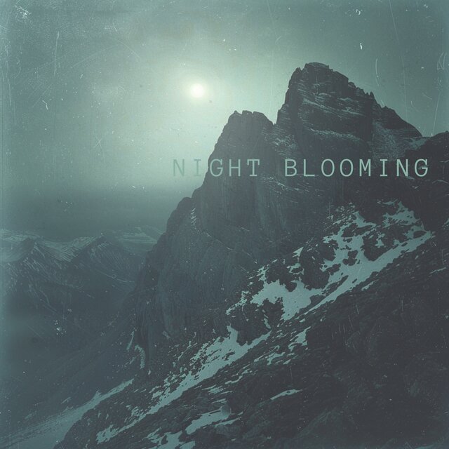 Night Blooming
