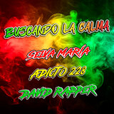 buscando la calma