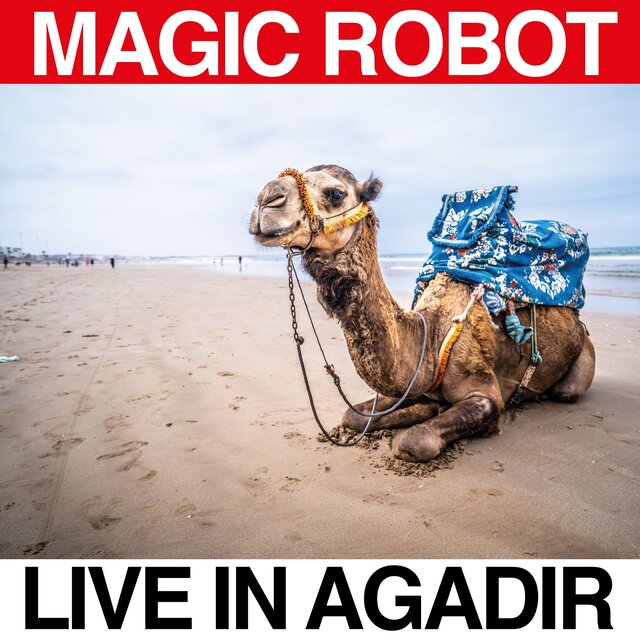 Live in Agadir