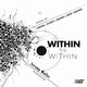 Cover art for album Within the Within by Jeremy Muller