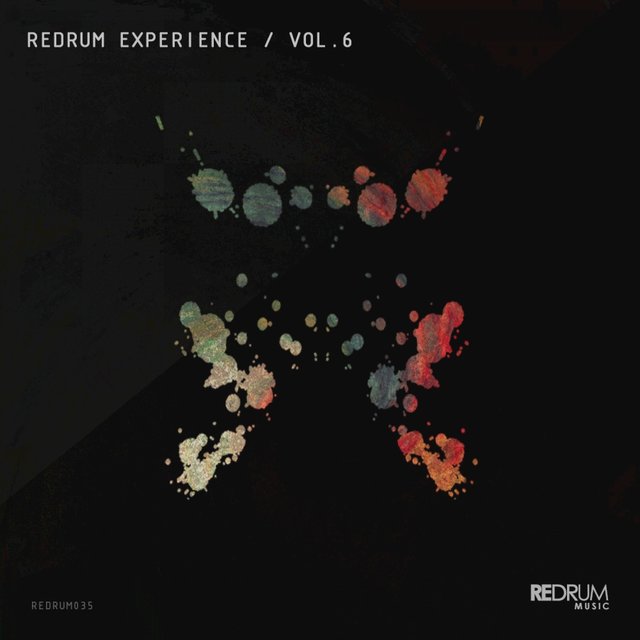 Redrum Experience, Vol. 6