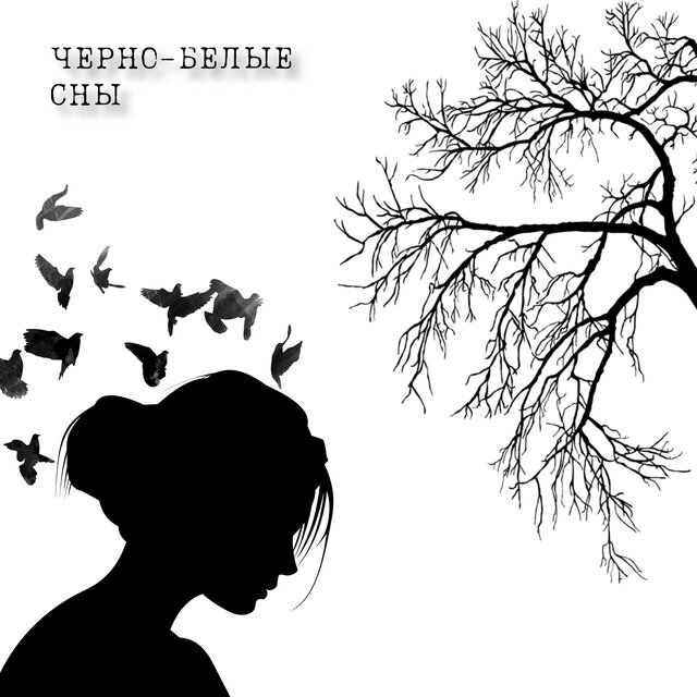 Черно-белые сны