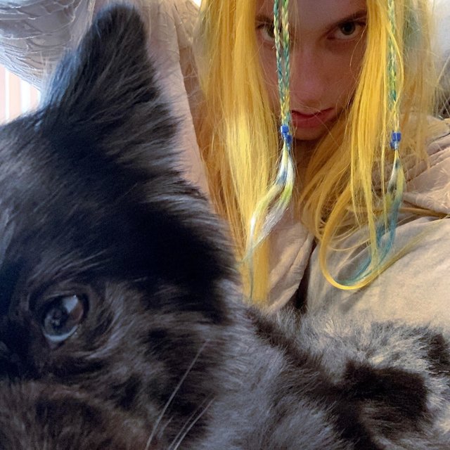 Funnee Puppee Gif