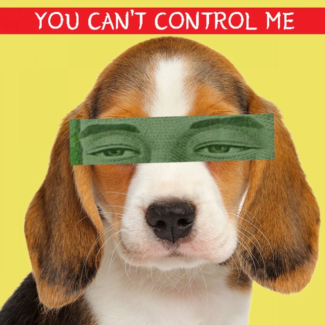 You Can't Control Me