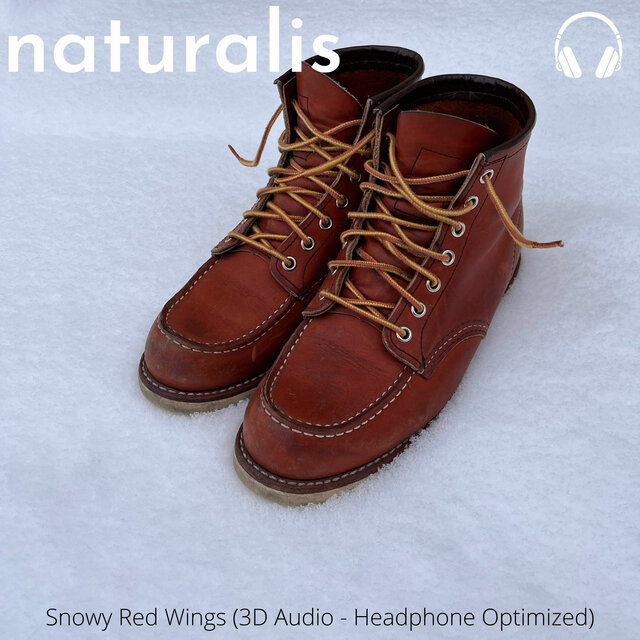 Snowy Red Wings (3D Audio - Headphone Optimized)