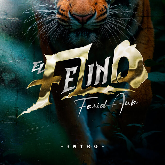 Intro