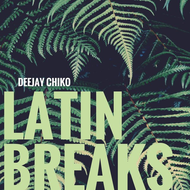 No Digas No (Latin breaks)