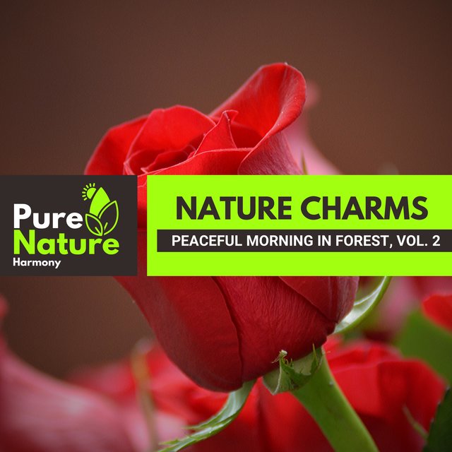 Nature Charms - Peaceful Morning in Forest, Vol. 2