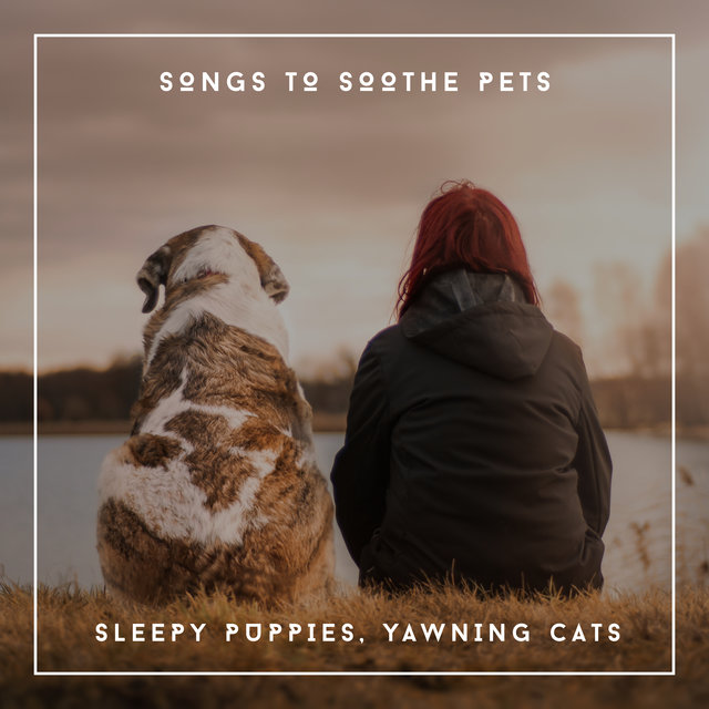 Songs To Soothe Pets - Sleepy Puppies, Yawning Cats