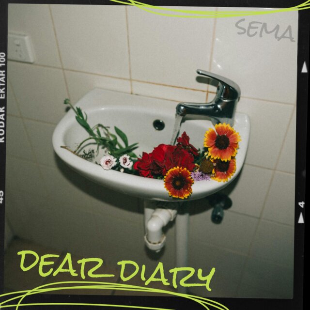dear diary