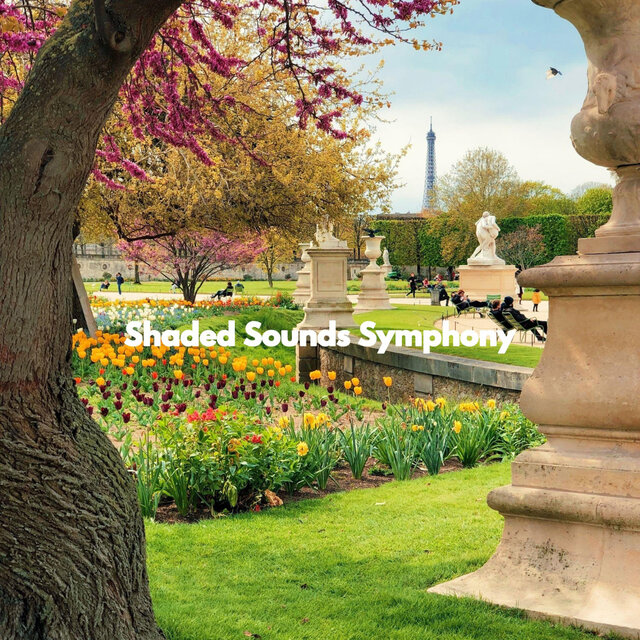 Shaded Sounds Symphony