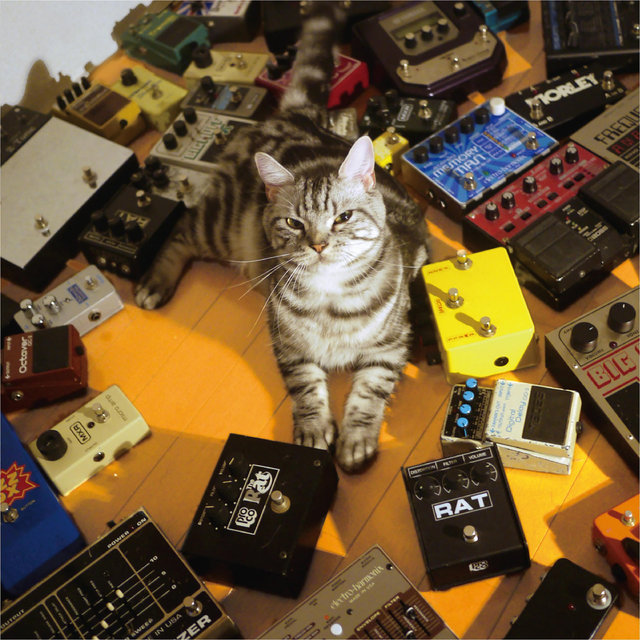 Tokyo Shoegazer on TIDAL