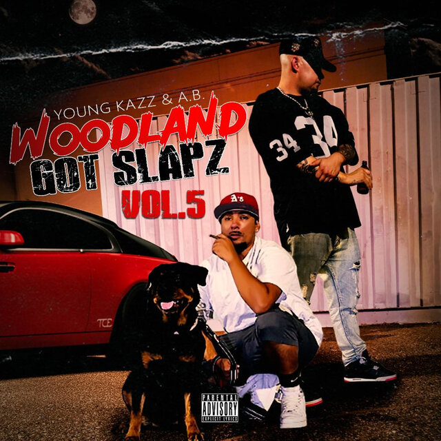 Woodland got Slapz vol.5