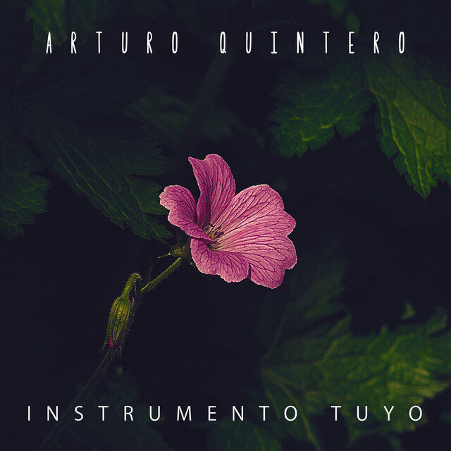 Instrumento Tuyo