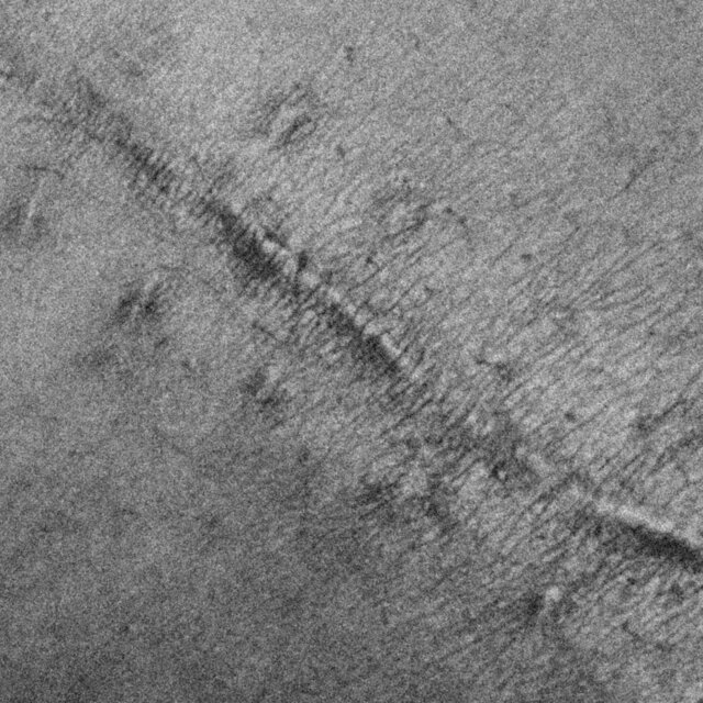 Cicatrices